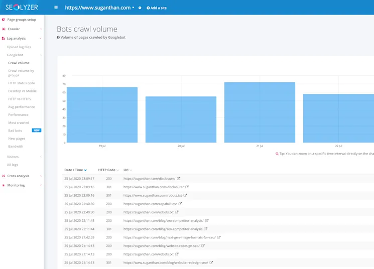 Seolyzer log analyzer interface